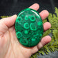 Malachite Palm - XL, AAA Grade