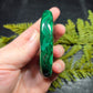 Malachite Palm - XL, AAA Grade
