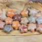 Agatized Fossil Coral mini stars