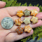 Agatized Fossil Coral mini stars