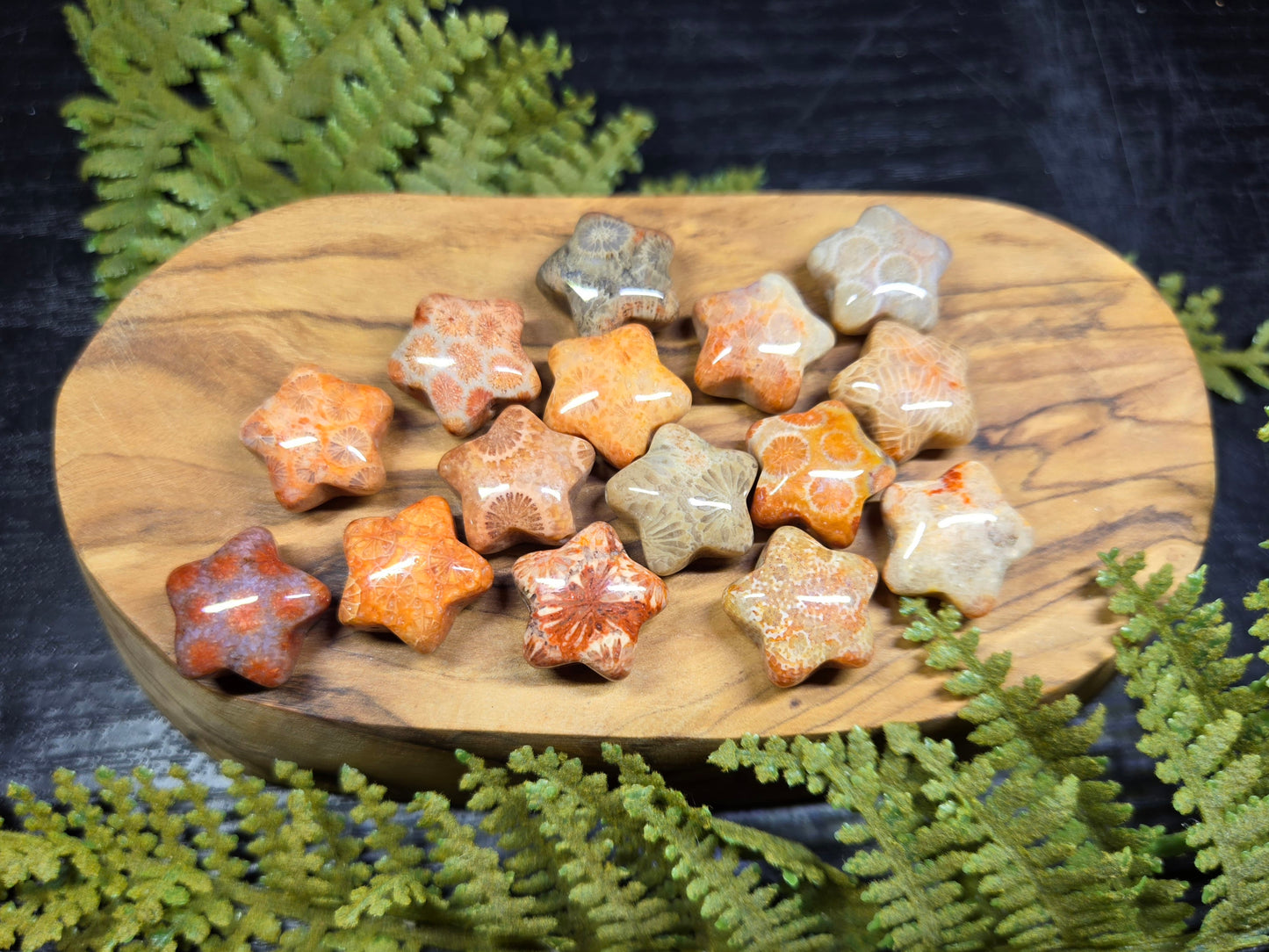 Agatized Fossil Coral mini stars