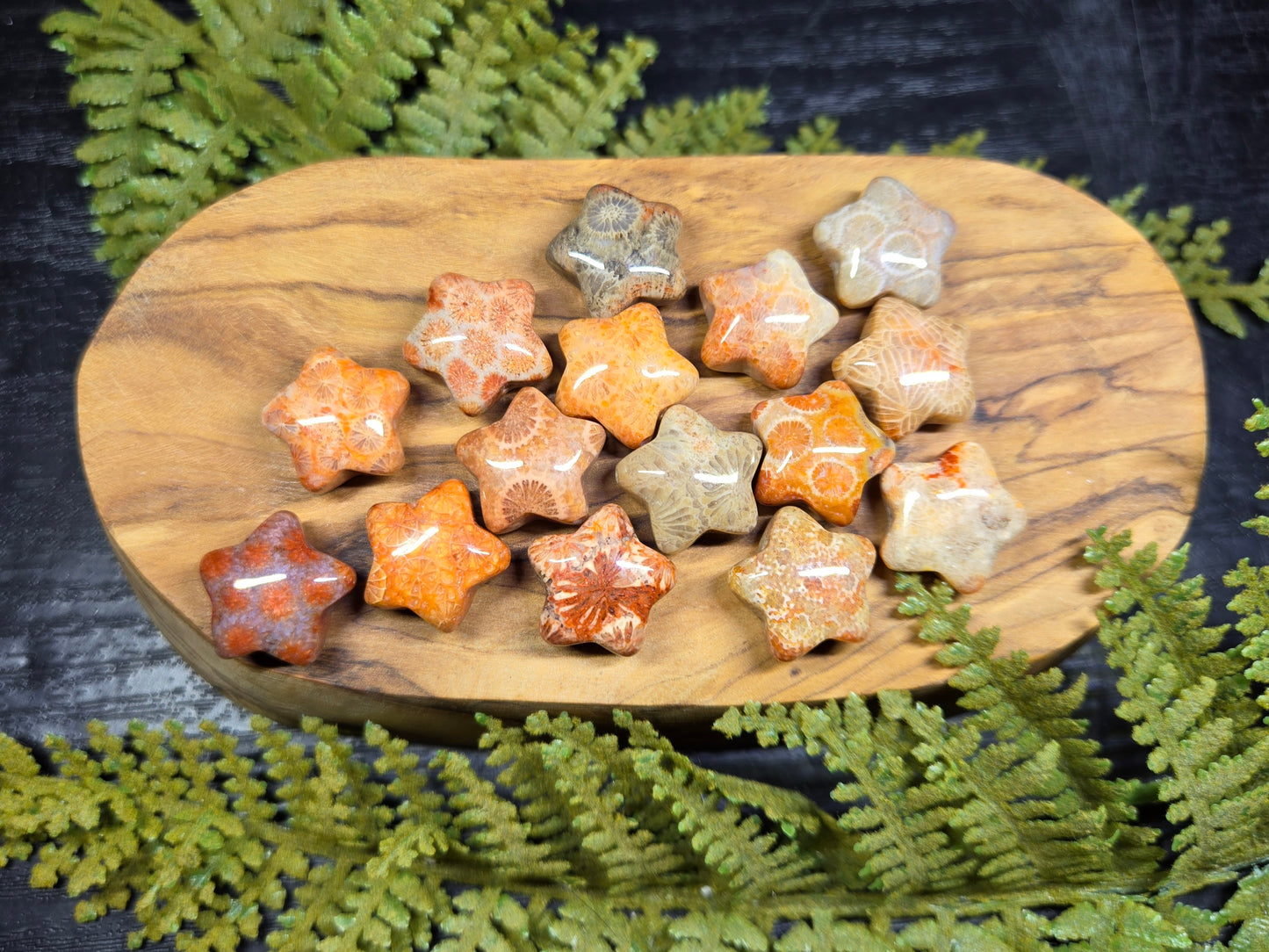 Agatized Fossil Coral mini stars