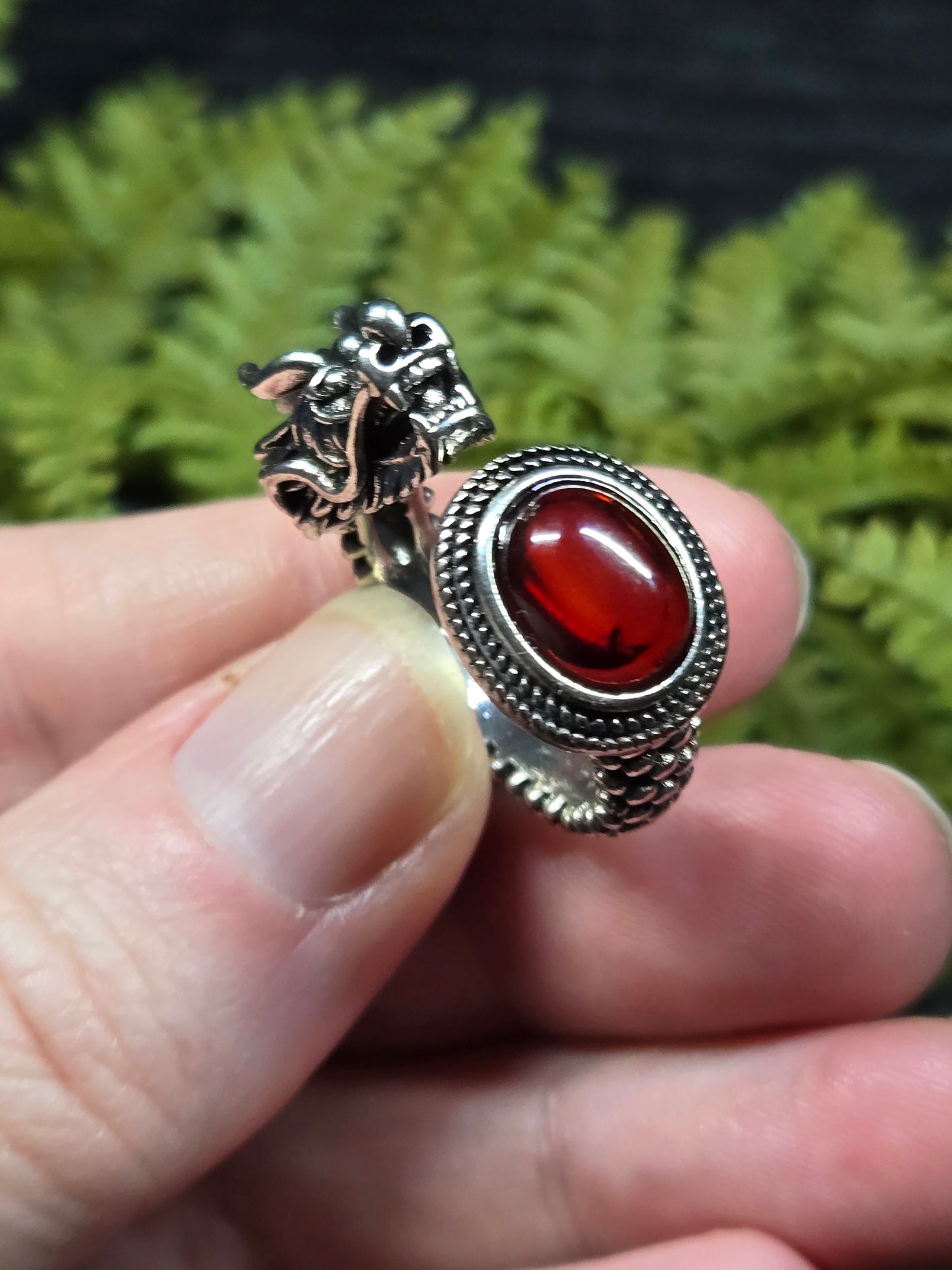 Red Amber & Dragon Adjustable Rings