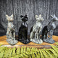 Large Egyptian / Sphynx Cats