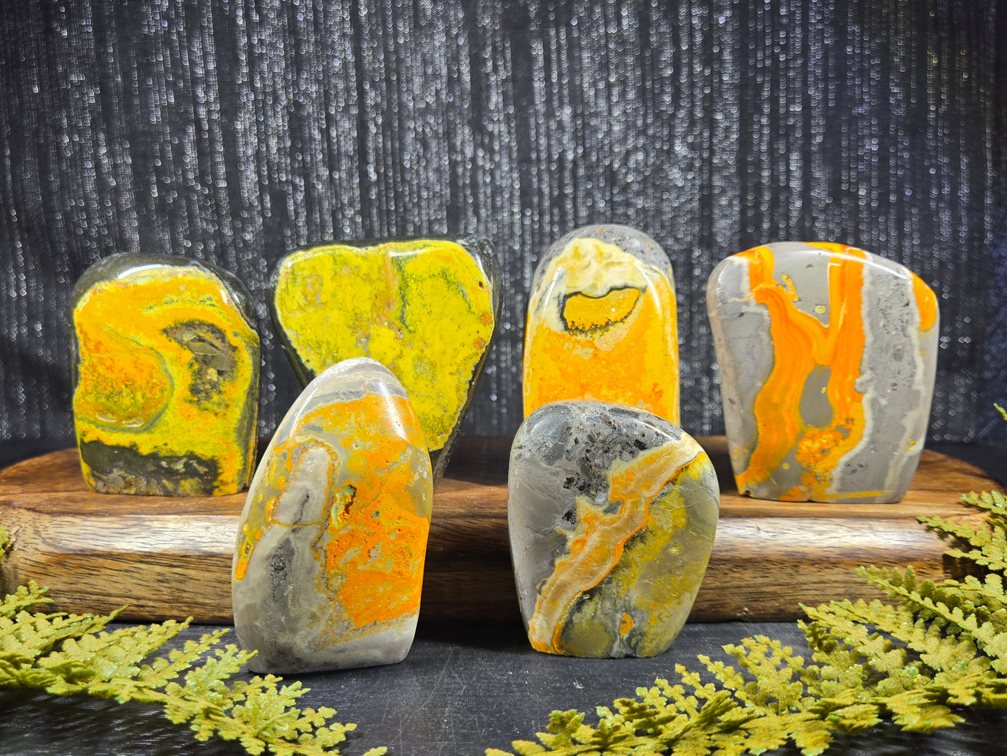 Bumblebee Jasper Freeforms