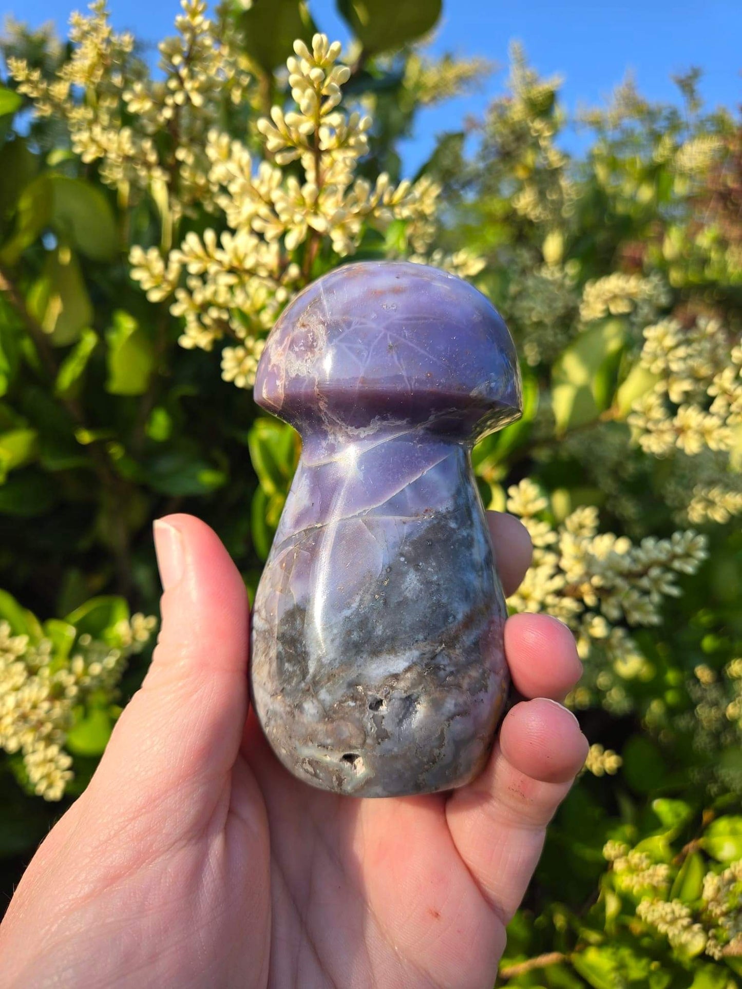 Violet agate mushroom - XL