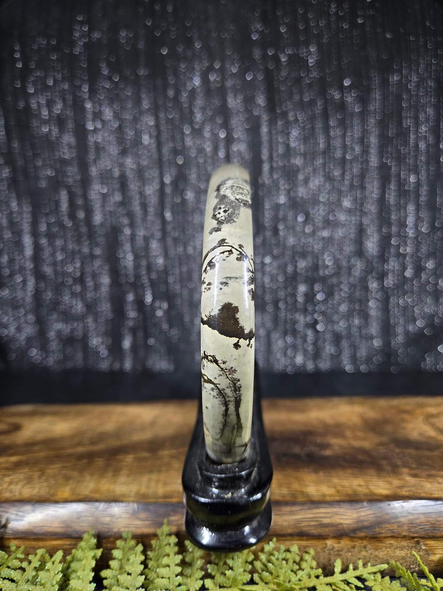 Picture Jasper with Custom Stand