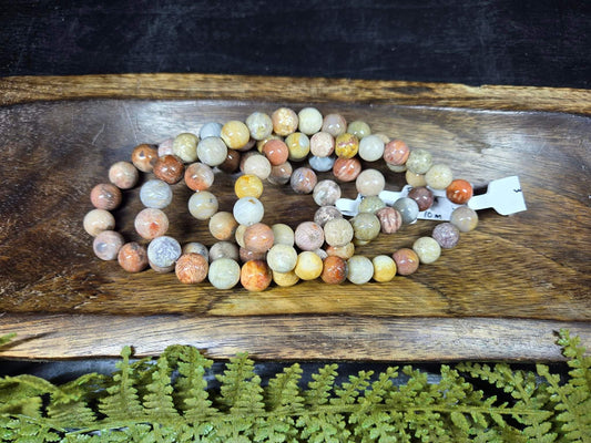 Agatized Fossil Coral Bracelets