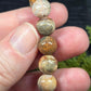 Agatized Fossil Coral Bracelets