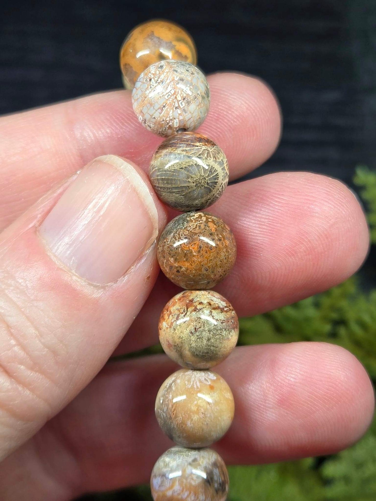 Agatized Fossil Coral Bracelets