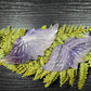 Large Fluorite Wings