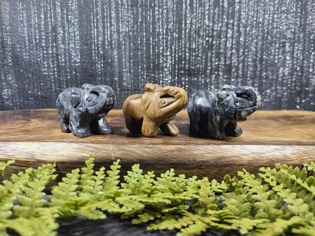 Small Elephants (Que Sera, Larvakite or Picture Jasper)