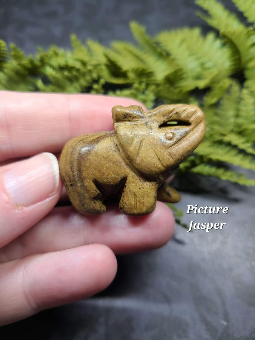 Small Elephants (Que Sera, Larvakite or Picture Jasper)