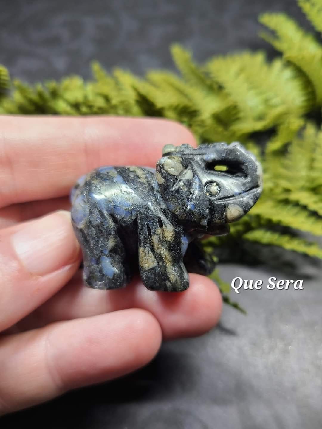 Small Elephants (Que Sera, Larvakite or Picture Jasper)