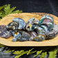 Moss Agate & Ocean Jasper Crescent Moons