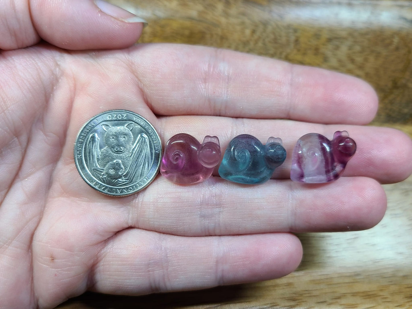 Micro Fluorite Snails