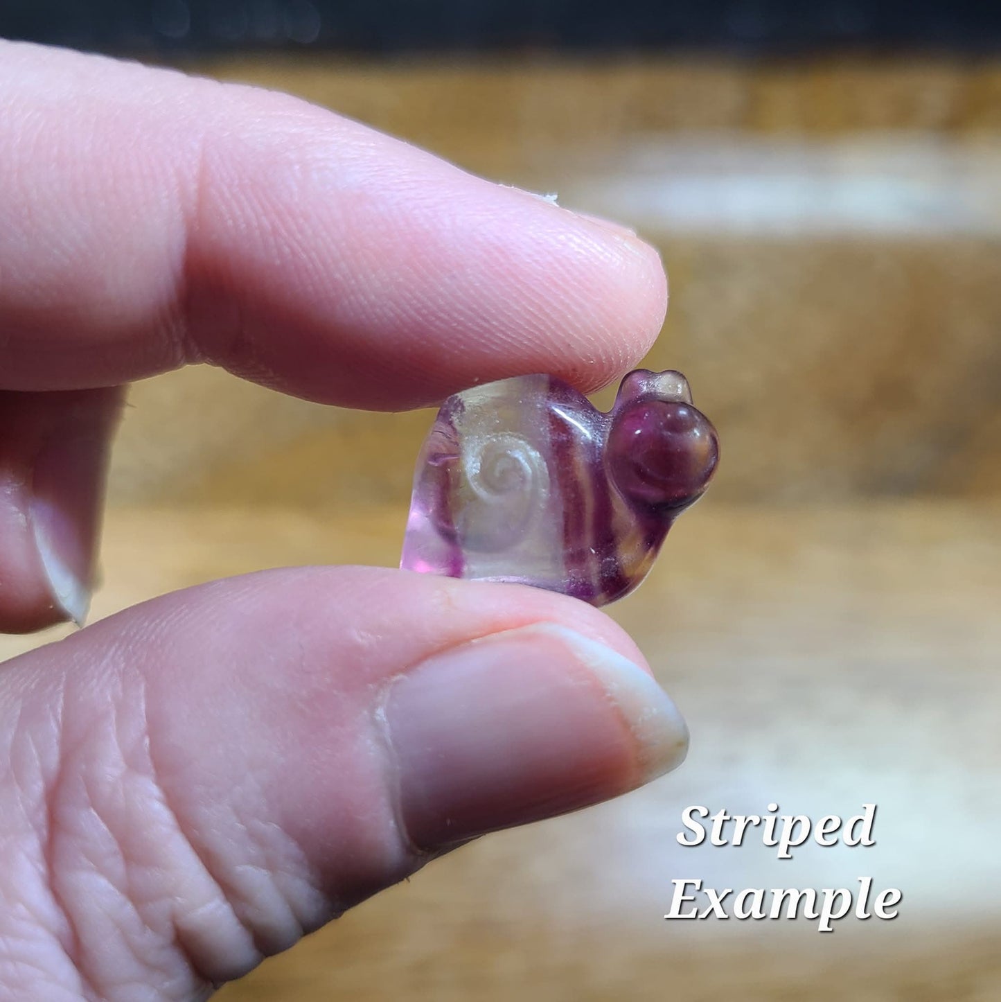 Micro Fluorite Snails