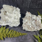 Moscona Calcite on Barite & Dolomite Specimens | SPAIN