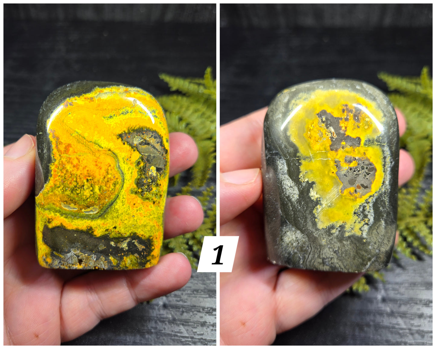 Bumblebee Jasper Freeforms