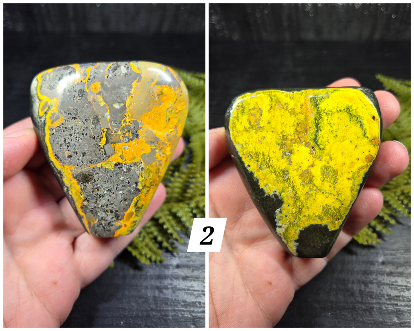 Bumblebee Jasper Freeforms