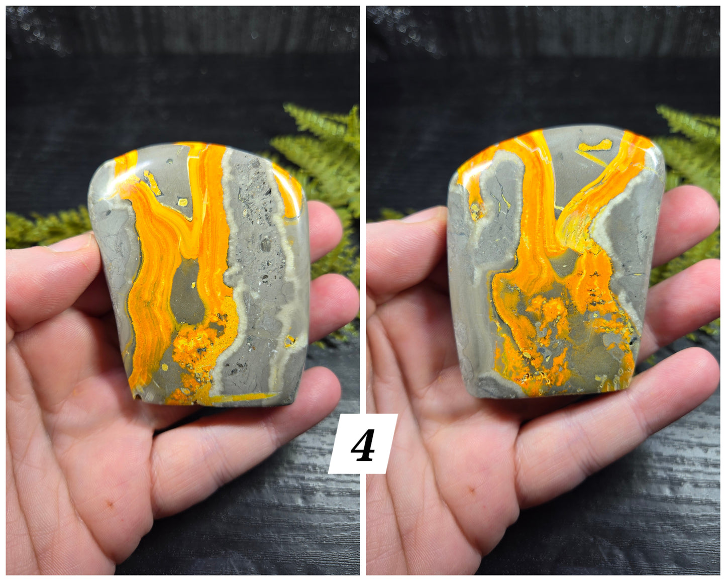 Bumblebee Jasper Freeforms