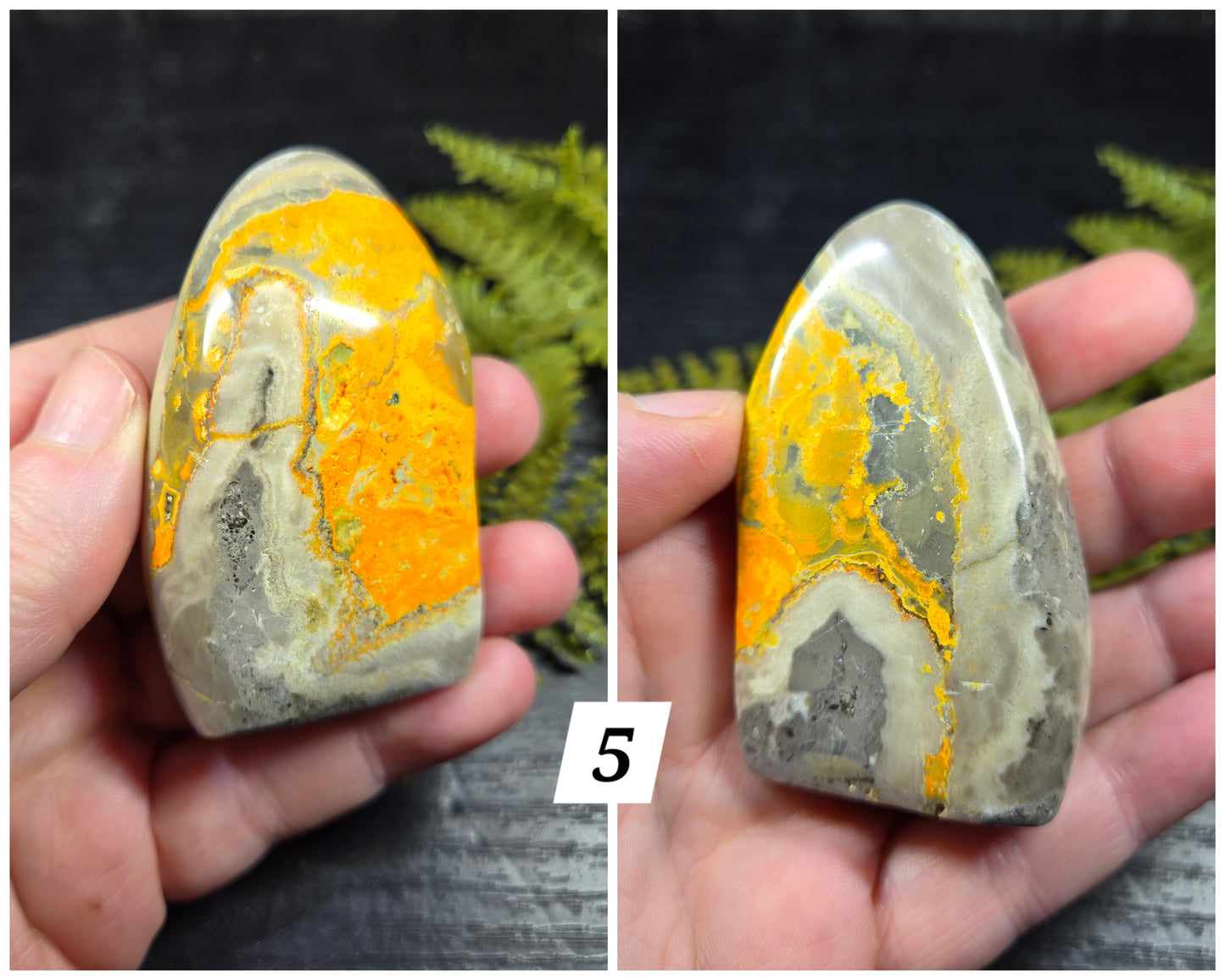 Bumblebee Jasper Freeforms