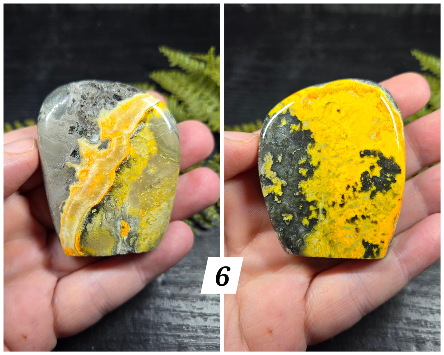 Bumblebee Jasper Freeforms