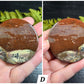 Picture Jasper Small Disks