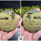 Picture Jasper Small Disks