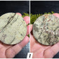 Picture Jasper Small Disks