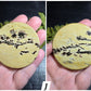 Picture Jasper Small Disks