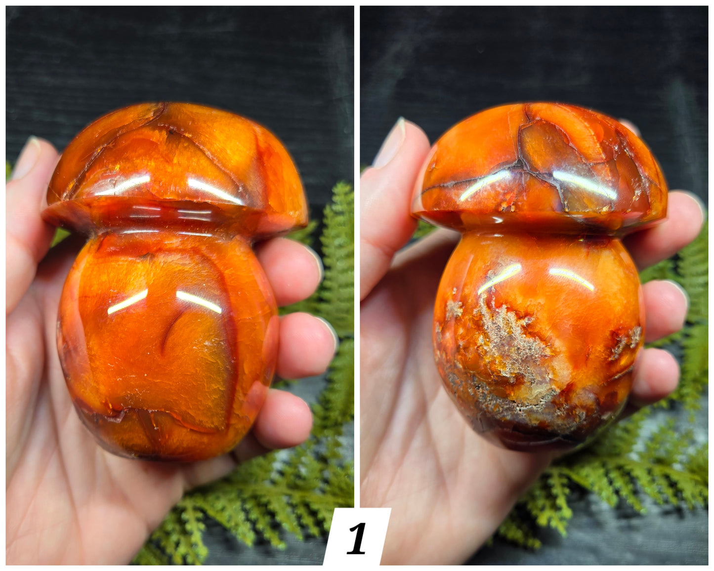 Carnelian Mushrooms