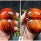 Carnelian Mushrooms