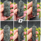 Astrophyllite (anthrophyllite) & Garnet Towers