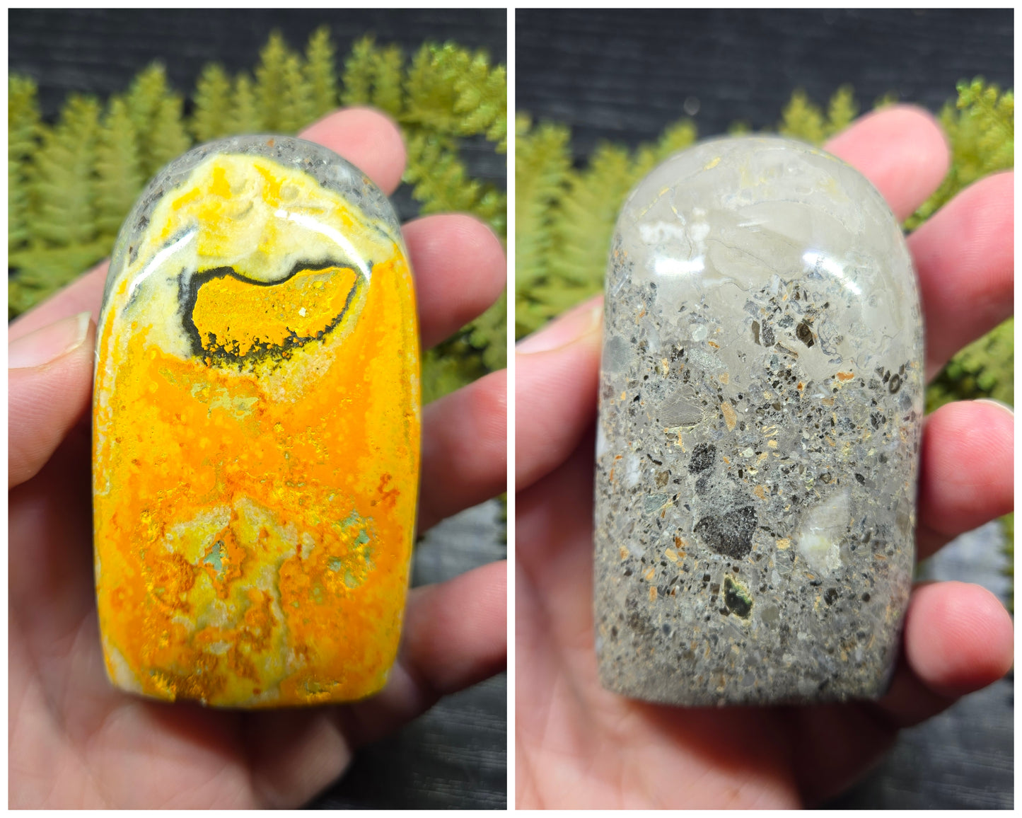 Bumblebee Jasper Freeforms