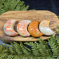 Fossil Coral Crescent Moons