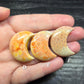 Fossil Coral Crescent Moons