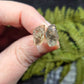 Herkimer Diamond (w/Carbon inclusions) Stud Earrings
