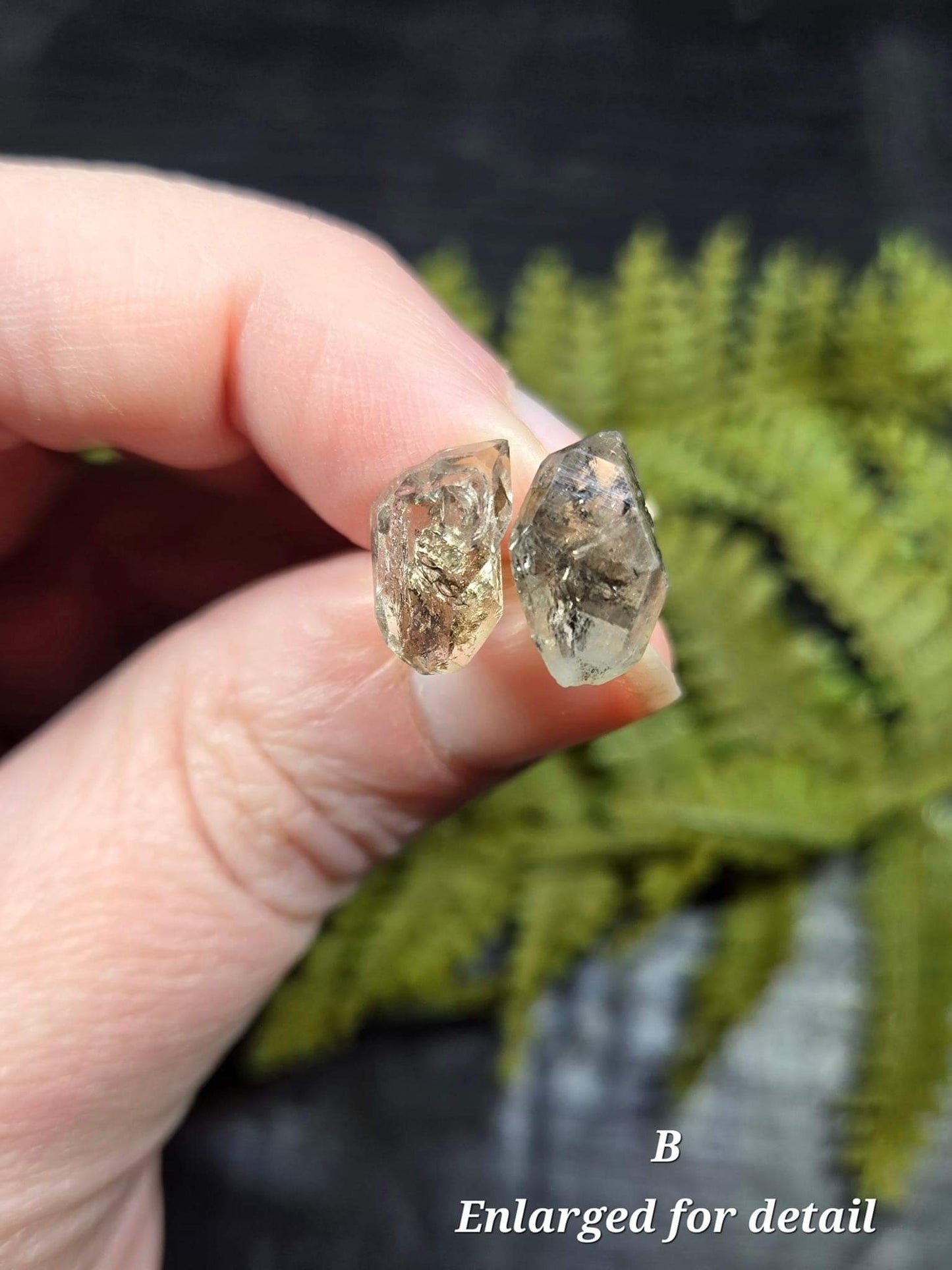 Herkimer Diamond (w/Carbon inclusions) Stud Earrings