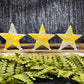Bumblebee Jasper Stars
