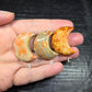 Fossil Coral Crescent Moons