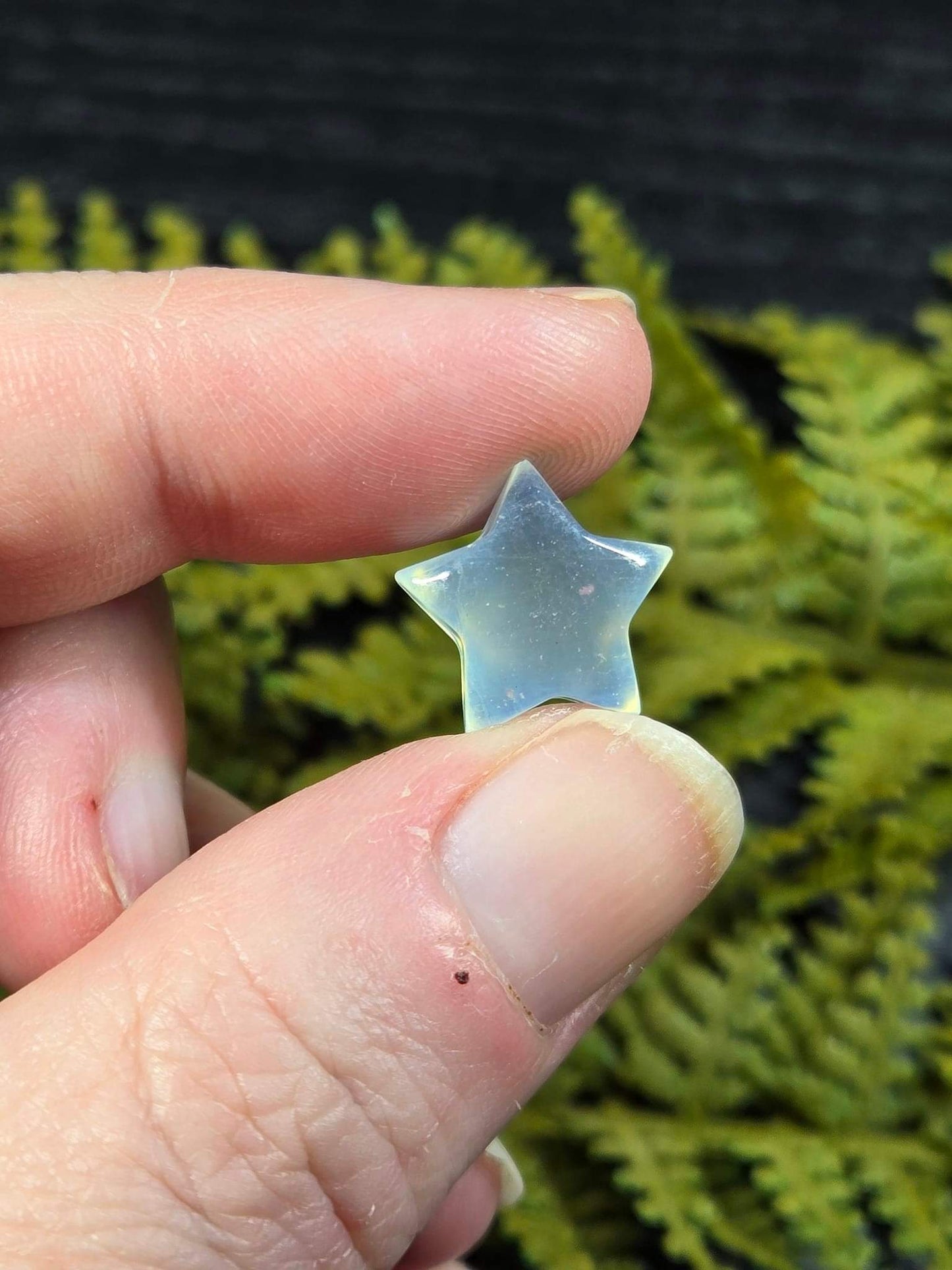 Aquamarine Tiny Stars