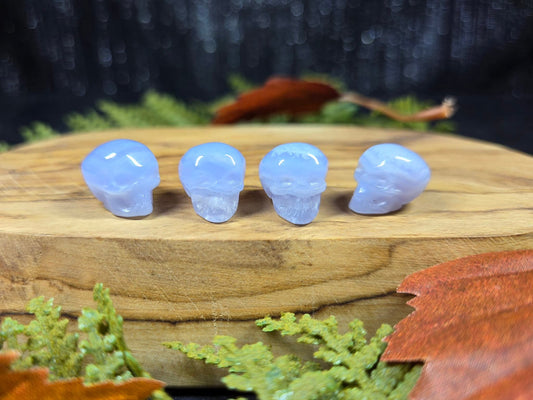 Micro Blue Lace Agate Skulls