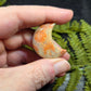 Fossil Coral Crescent Moons