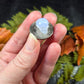 Micro Blue Lace Agate Skulls