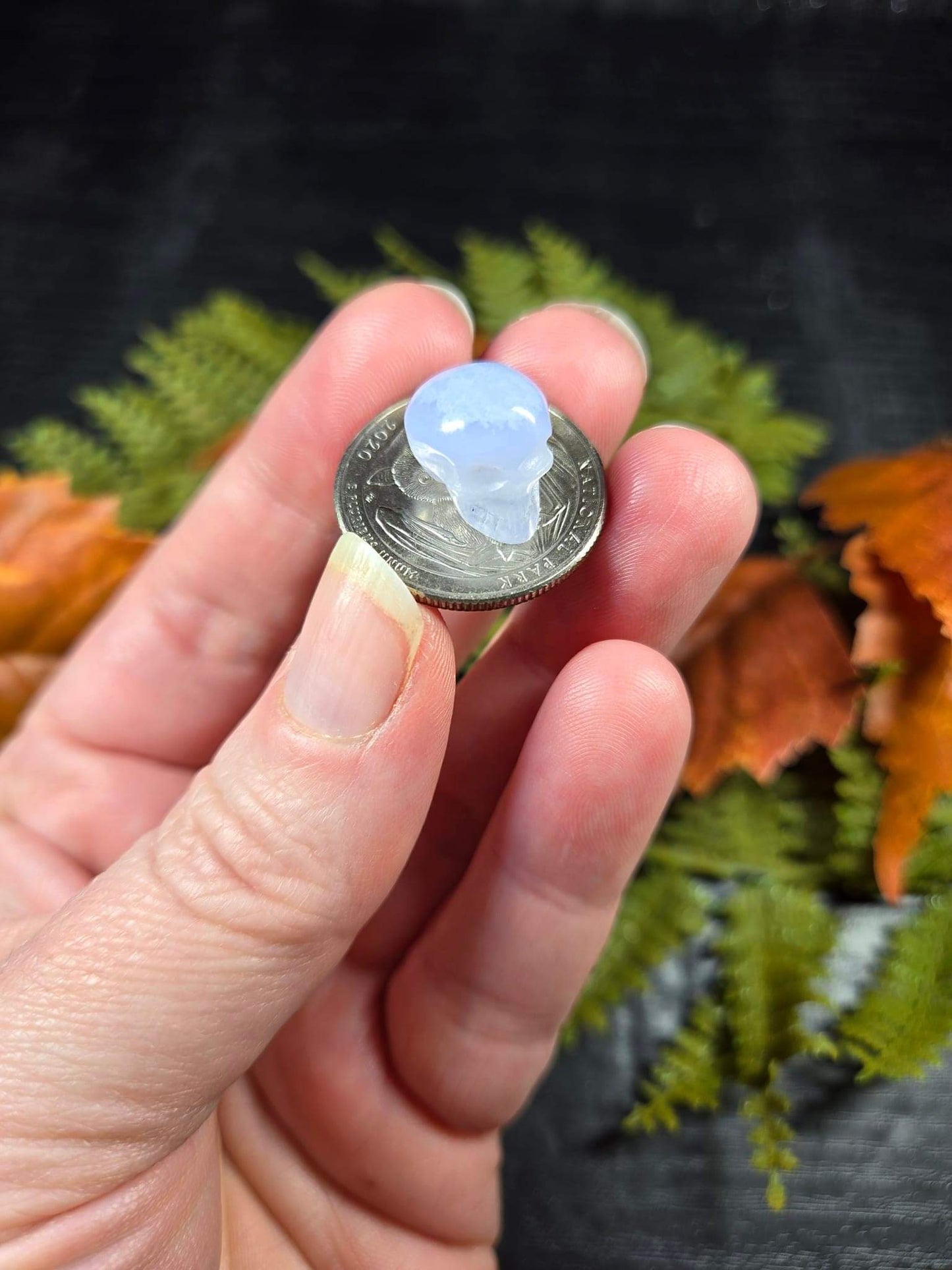 Micro Blue Lace Agate Skulls