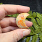 Fossil Coral Crescent Moons
