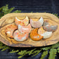 Fossil Coral Crescent Moons