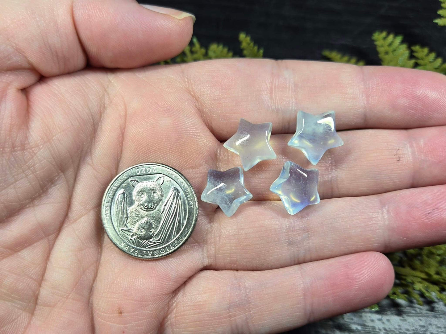 Aquamarine Tiny Stars